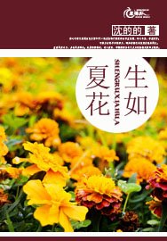 《生如夏花》
