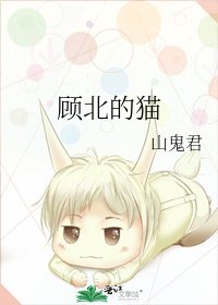 《顾北的猫》