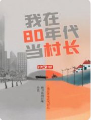 《我在80年代当村长》