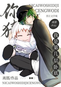 《(综漫同人)你猜我是几层卧底》