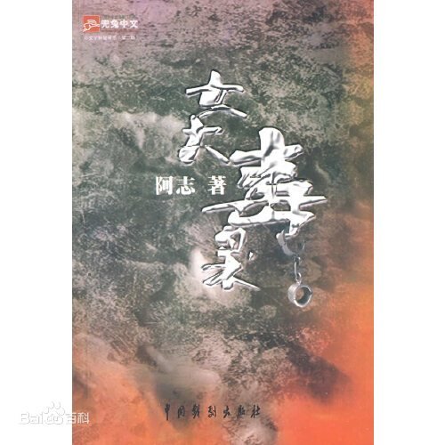 女大毒枭(出书版)