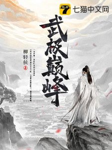 《武极巅峰》