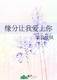《缘分让我爱上你》