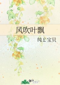 《风吹叶飘》