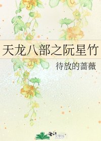 天龙八部之阮星竹