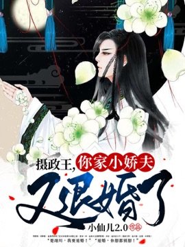 《摄政王,你家王妃又退婚了》