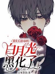 《重生後影帝的白月光黑化了》