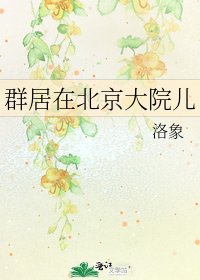 《群居在北京大院儿》