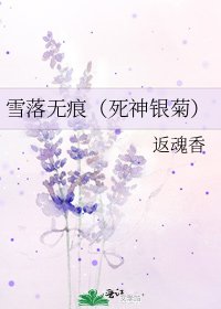 《雪落无痕(死神银菊)》