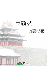 商颜录
