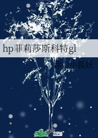 hp菲莉莎斯科特gl