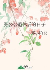 《张公公退休后的日子》