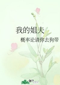 我的姐夫