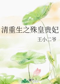 《清重生之殊皇贵妃》