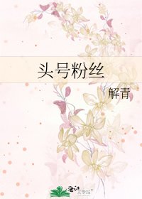 《头号粉丝》