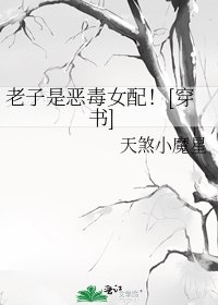 《(穿书)老子是恶毒女配!》