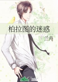 《柏拉图的迷惑》