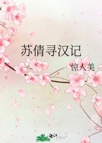 《苏倩寻汉记》