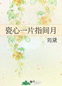 瓷心一片指间月