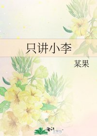 只讲小李