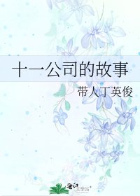 《十一公司的故事》