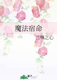 魔法宿命