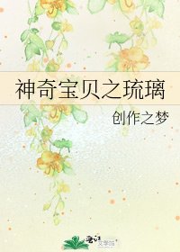 《神奇宝贝之琉璃》