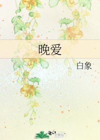 晚爱
