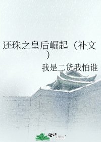 还珠之皇后崛起（补文）