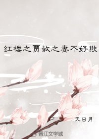 [紅樓＋修真]賈赦之妻不好欺
