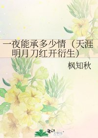 一夜能承多少情（天涯明月刀红开衍生）