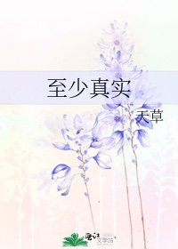 至少真实
