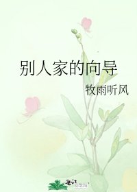 《别人家的向导》