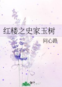 红楼之史家玉树
