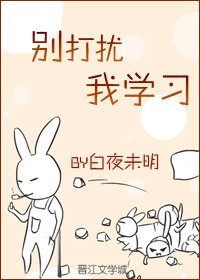 《别打扰我学习》