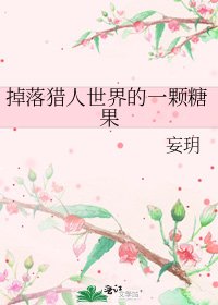 《掉落猎人世界的一颗糖果》