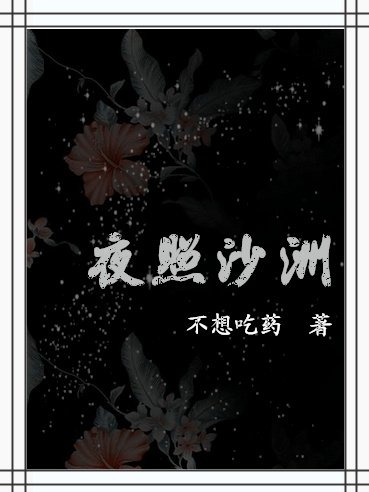 夜照沙洲