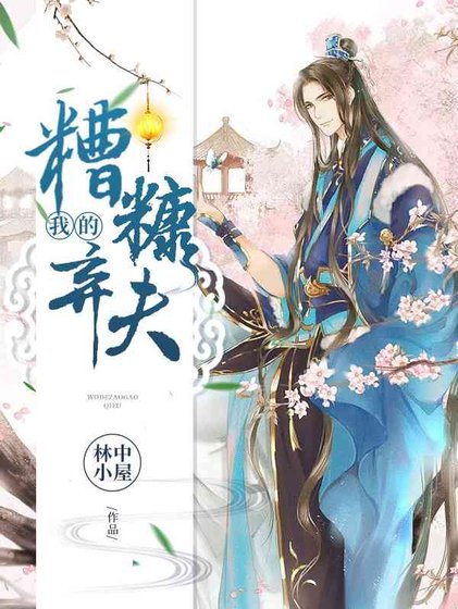 《我的糟糠弃夫》