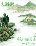 《大唐2008 VIP未删节》