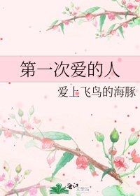 《第一次爱的人》