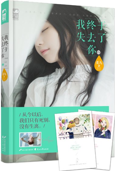 《我终于失去了你2》