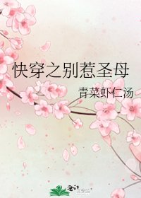 《快穿之别惹圣母》