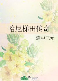 哈尼梯田傳奇