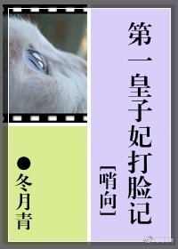 《第一皇子妃打脸记》