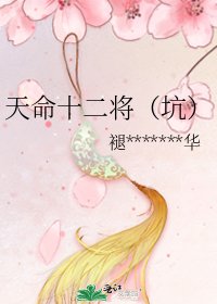 《天命十二将(坑)》