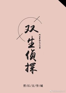《双生侦探》