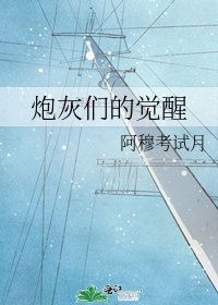 《炮灰们的觉醒》