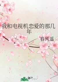 我和电视机恋爱的那几年