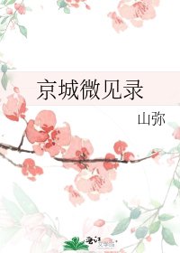 京城微见录