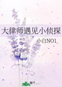 大律师遇见小侦探